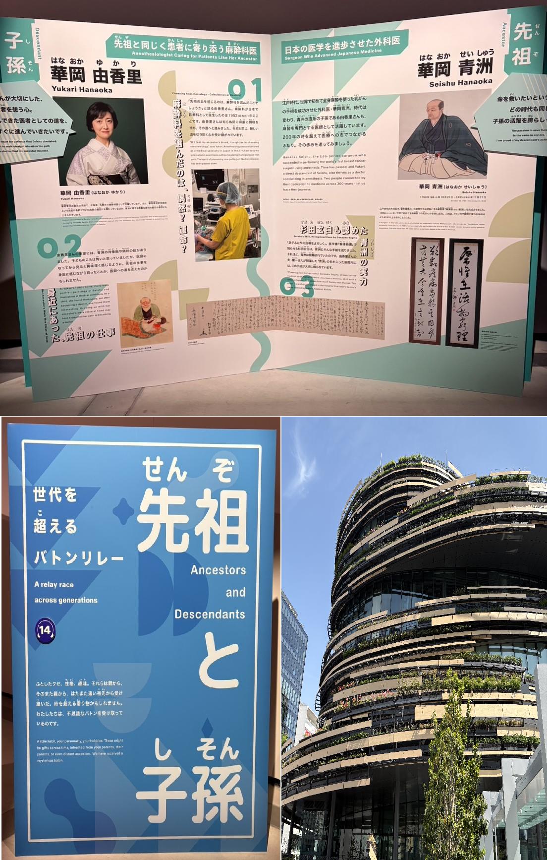 ぐるぐる展写真